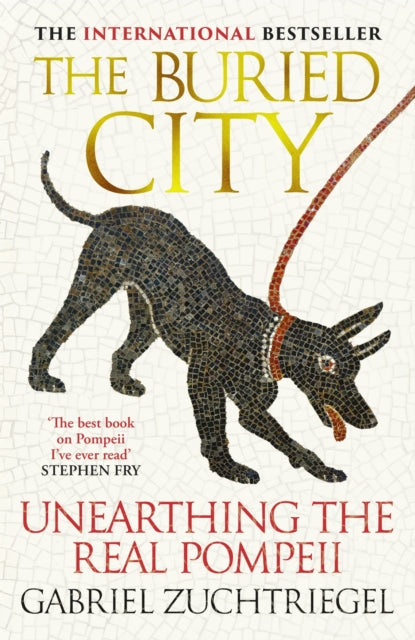 The Buried City : Unearthing the Real Pompeii - the Instant Sunday Times Bestseller - 9781399731171