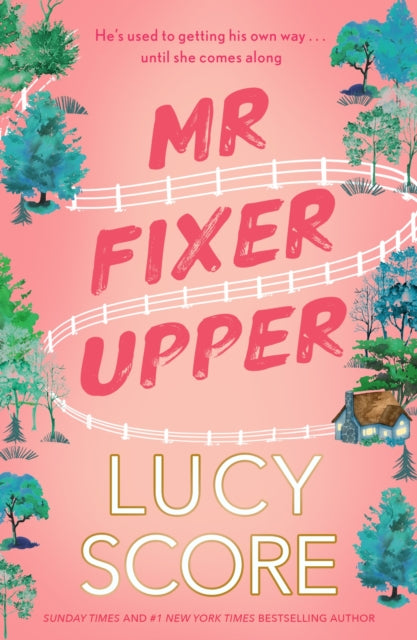 Mr Fixer Upper : the new romance from the 2023 bestselling Tiktok sensation! - 9781399735513