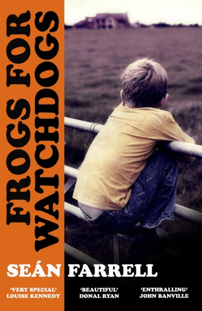 Frogs for Watchdogs : 'A stunning novel that will live long in my imagination’ DONAL RYAN - 9781399834070