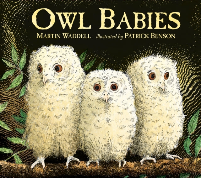 Owl Babies - 9781406374377