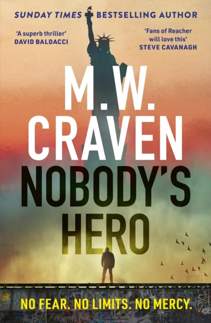 Nobody's Hero - 9781408717639