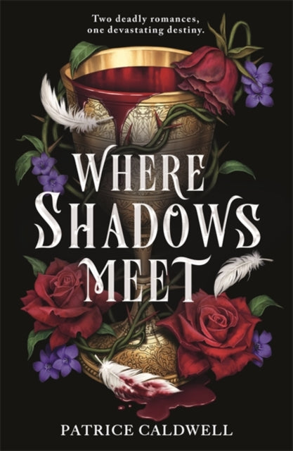 Where Shadows Meet : The instant Sunday Times bestselling sapphic vampire romantasy - 9781471411861