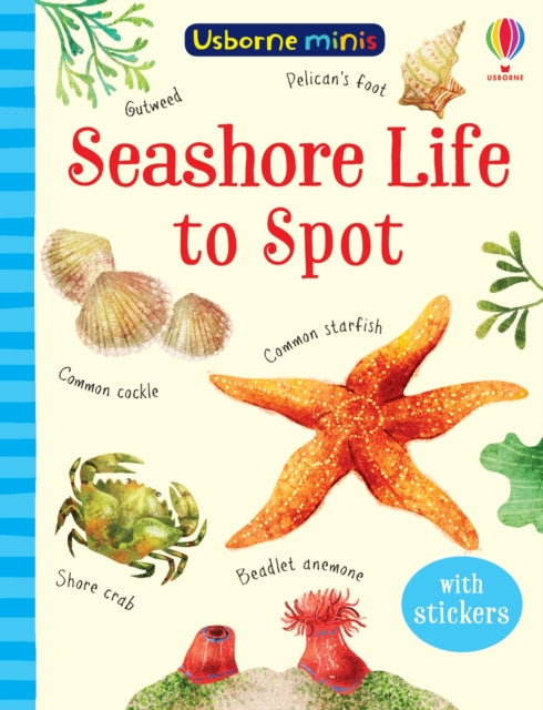 Seashore Life to Spot - 9781474974981