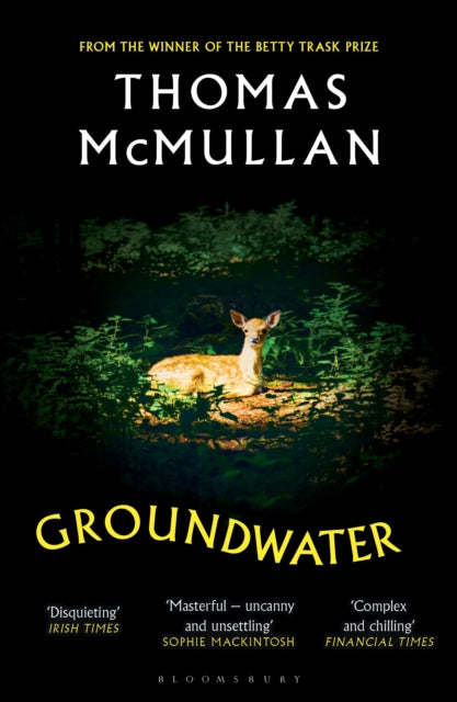 Groundwater : ‘Complex, chilling, masterful' Financial Times - 9781526678003