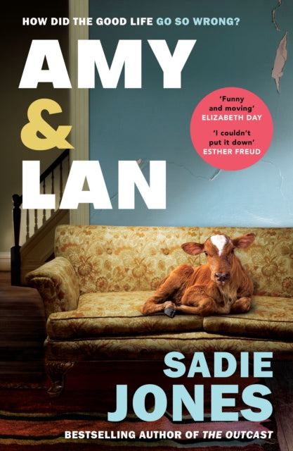 Amy and Lan : The enchanting new novel from the Sunday Times bestselling author of The Outcast - 9781529116175