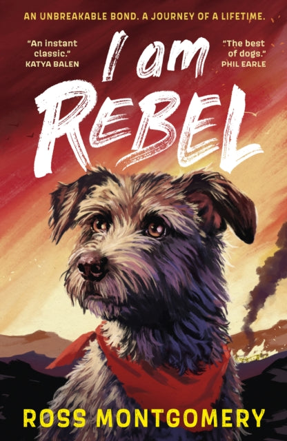 I Am Rebel - 9781529502909