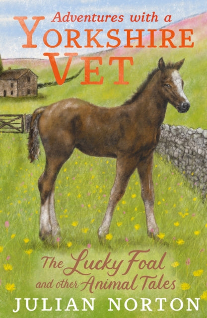 Adventures with a Yorkshire Vet: The Lucky Foal and Other Animal Tales - 9781529509922