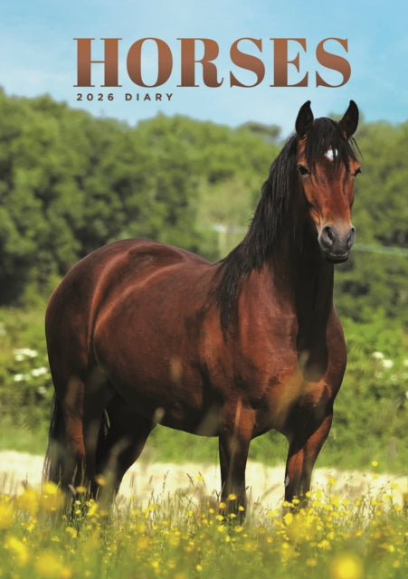 Horses A5 Diary 2026 - 9781529848724