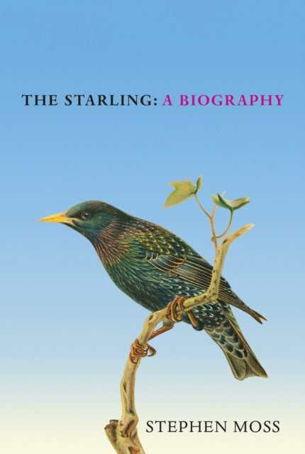 The Starling : A Biography - 9781529908282