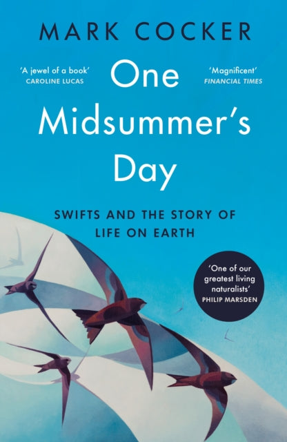 One Midsummer's Day : Swifts and the Story of Life on Earth - 9781529921991