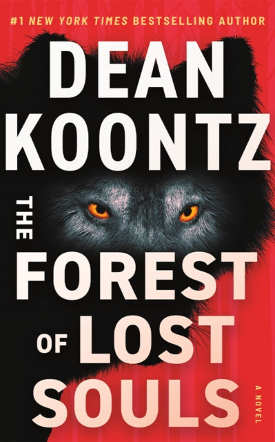 The Forest of Lost Souls : A Novel - 9781662517785