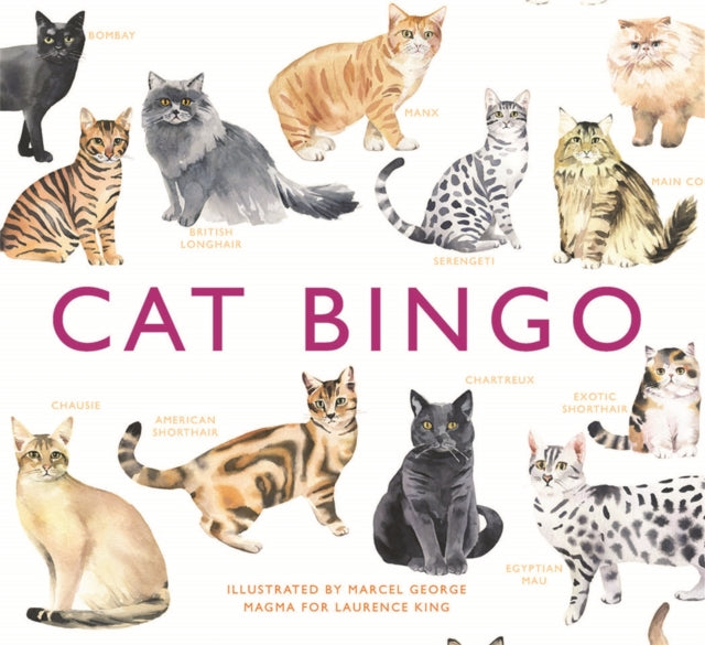 Cat Bingo - 9781780679037