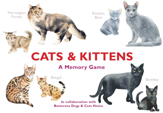 Cats & Kittens : A Memory Game - 9781786272263