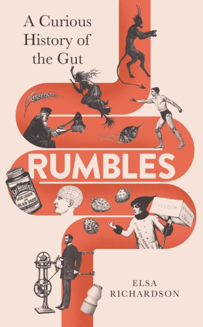 Rumbles : A Curious History of the Gut - 9781788167550