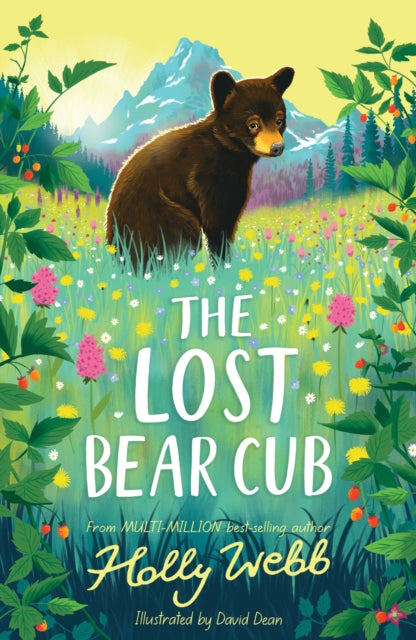 The Lost Bear Cub - 9781788956062