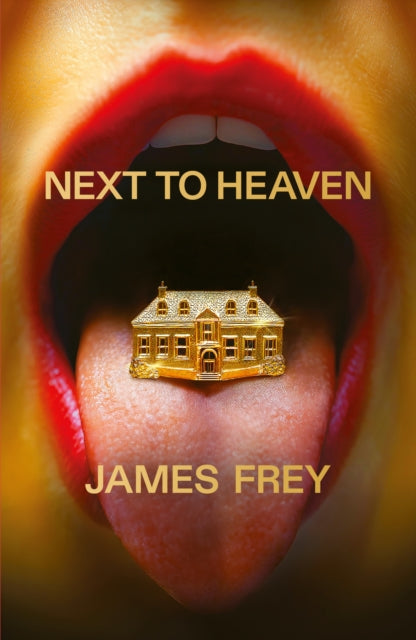 Next to Heaven : The PROVOCATIVE new novel from BESTSELLING author of A Million Little Pieces - 9781800755451