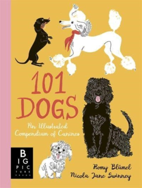 101 Dogs : An Illustrated Compendium of Canines - 9781800781153
