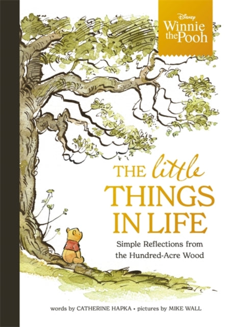 Disney Winnie the Pooh - The Little Things in Life : Simple reflections from the Hundred-Acre Wood - 9781800787629