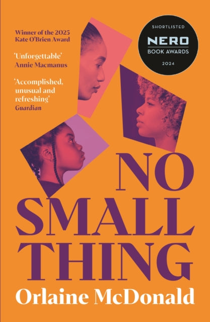No Small Thing : 'One of the best debut novels I’ve read in recent years' Bernardine Evaristo - 9781800815599