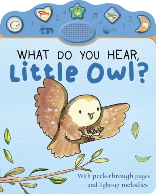 What Do You Hear, Little Owl? - 9781801048859