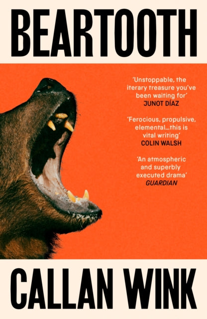 Beartooth - 9781803510989