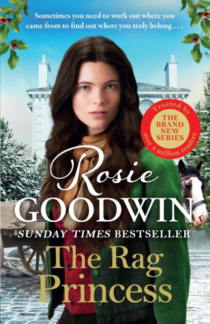 The Rag Princess : THE PERFECT GIFT THIS FESTIVE SEASON - 9781804183076