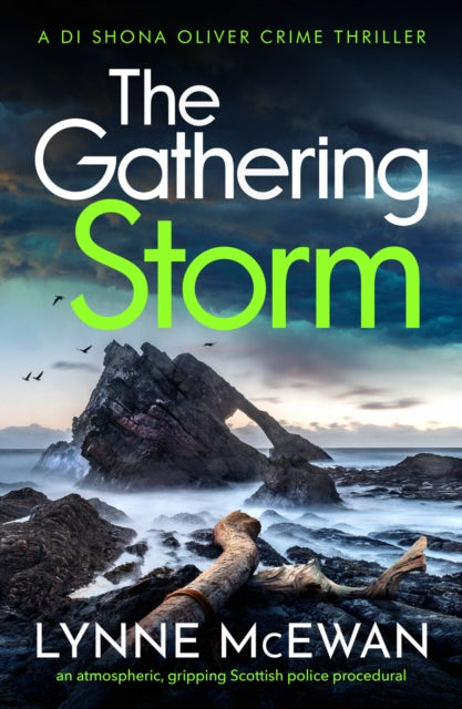 The Gathering Storm : An atmospheric, gripping Scottish police procedural - 9781804362310