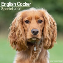 English Cocker Spaniel Calendar 2026  Square Dog Breed Wall Calendar - 16 Month