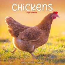 Chickens Calendar 2026  Square Farm Animals & Birds Wall Calendar - 16 Month