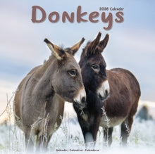 Donkeys Calendar 2026  Square Animal Wall Calendar - 16 Month