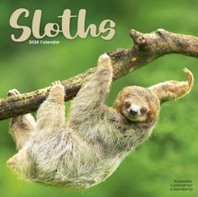 Sloths Calendar 2026  Square Animal Wall Calendar - 16 Month