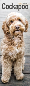 Cockapoo Slim Calendar 2026  Dog Breed Slimline Calendar - 12 Month