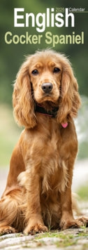 English Cocker Spaniel  Slim Calendar 2026  Dog Breed Slimline Calendar - 12 Month