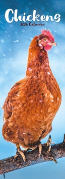 Chickens Slim Calendar 2026  Bird Slimline Calendar - 12 Month