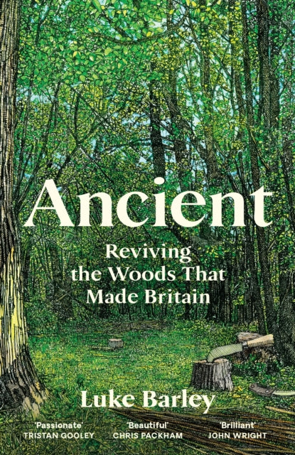 Ancient : Reviving the Woods That Made Britain - 9781805222231