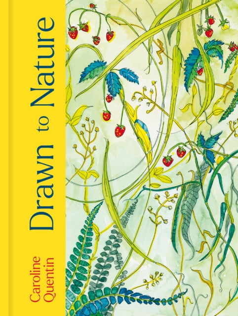 Drawn to Nature - 9781805701347