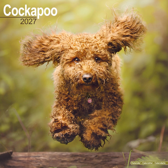 Cockapoo Wall - 9781806480289