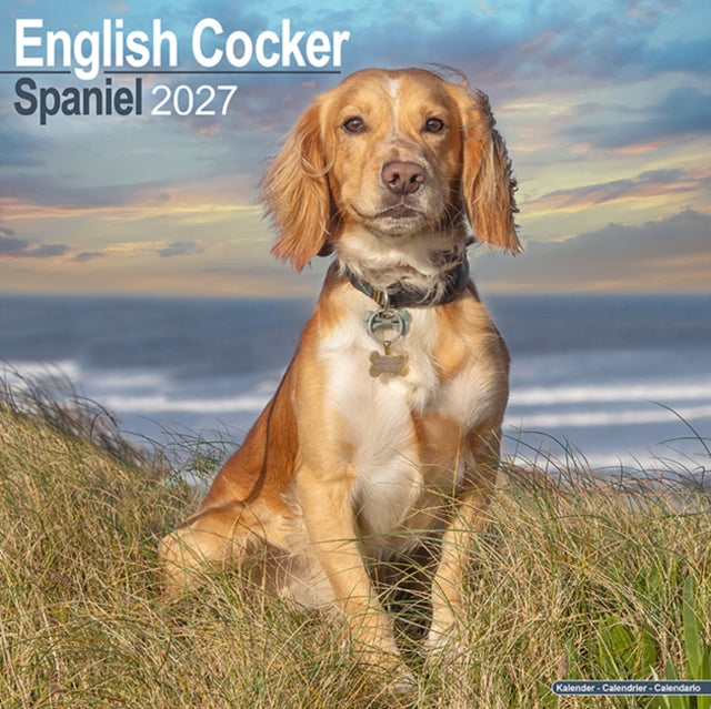 English Cocker Spaniel Wall - 9781806480388