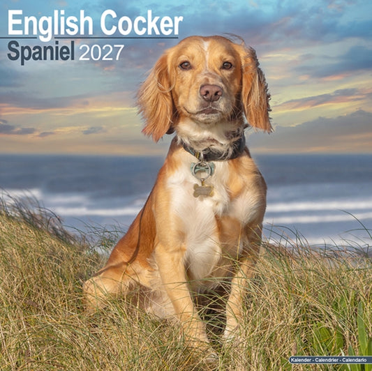 English Cocker Spaniel Wall - 9781806480388