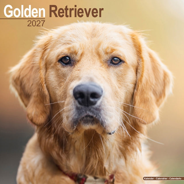 Golden Retriever Wall - 9781806480470
