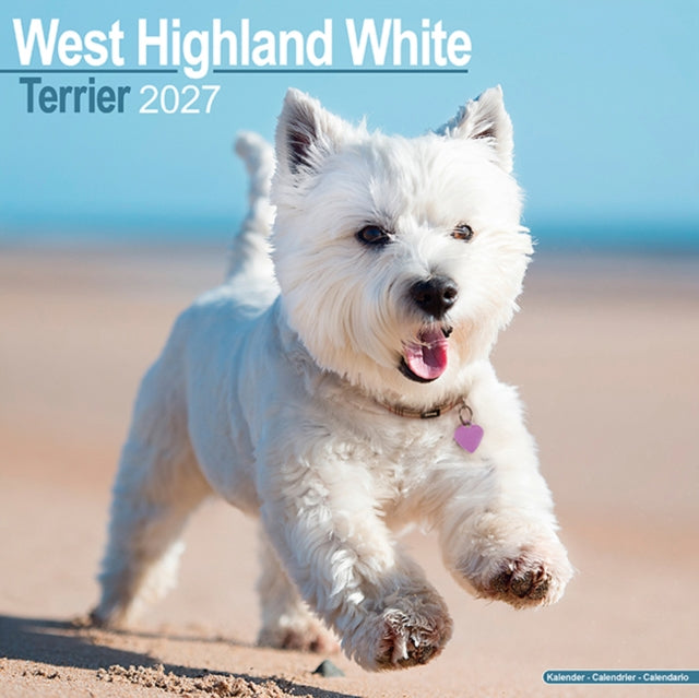 West Highland White Terrier Wall - 9781806480968