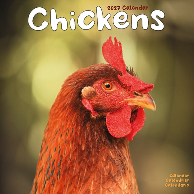 Chickens Wall - 9781806481279