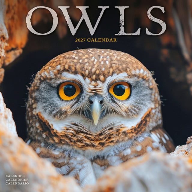 Owls W / AVONSI - 9781806481422