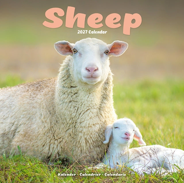 Sheep Wall - 9781806481514