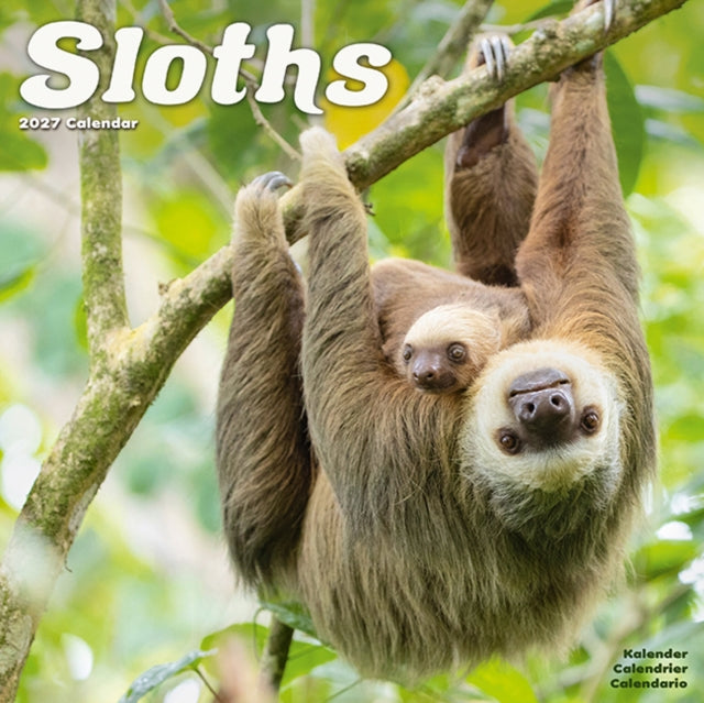Sloths Wall - 9781806481521