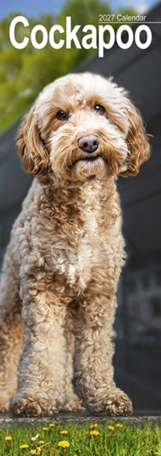 Cockapoo Slim - 9781806482023