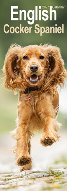 English Cocker Spaniel Slim - 9781806482047