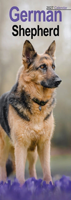 German Shepherd Slim - 9781806482078
