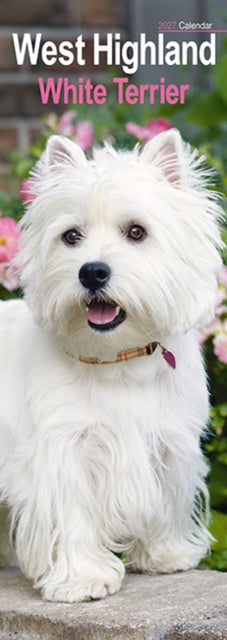 West Highland White Terrier Slim - 9781806482191