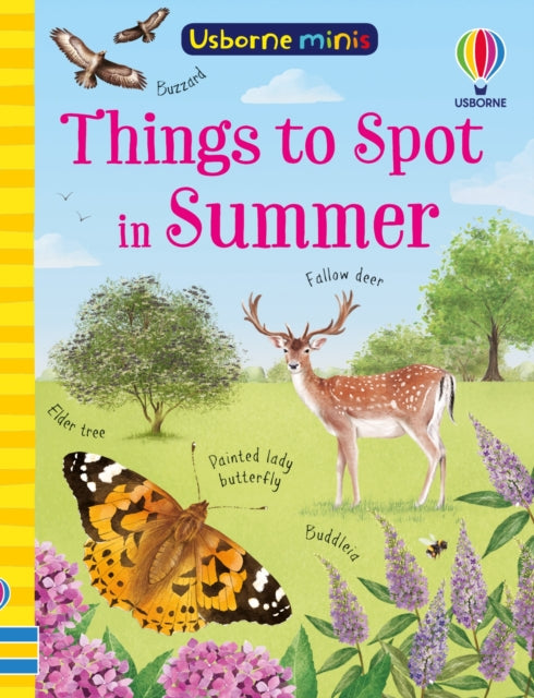 Things to Spot in Summer - 9781835401231